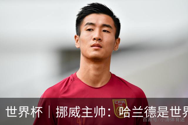 世界杯｜挪威主帅：哈兰德是世界上最好的射手