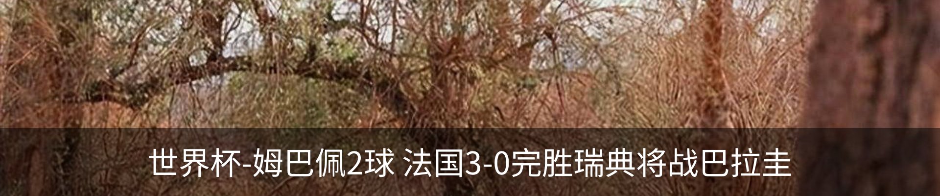新闻中心